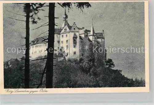 AK / Ansichtskarte Lauenstein Oberfranken Burg Lauenstein Kat. Ludwigsstadt