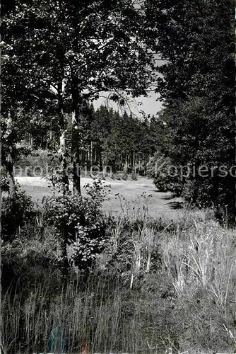 AK / Ansichtskarte Bobengruen Froschbachtal Kat. Bad Steben