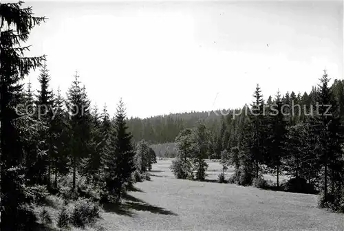 AK / Ansichtskarte Bobengruen Froschbachtal Kat. Bad Steben