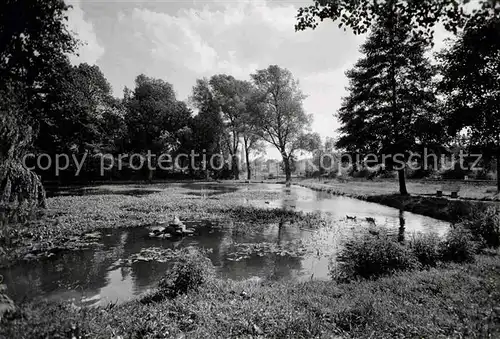 AK / Ansichtskarte Naila Park Teich Kat. Naila