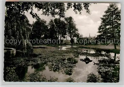 AK / Ansichtskarte Naila Park Teich Kat. Naila