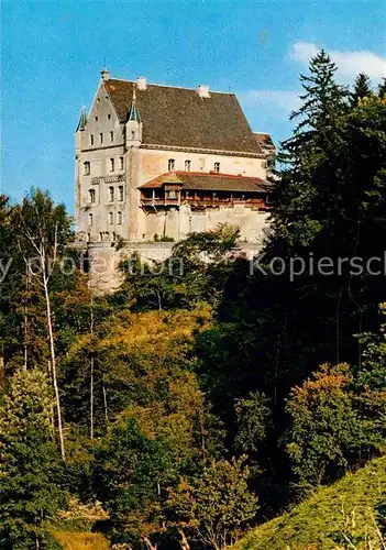 AK / Ansichtskarte Mindelheim Mindelburg  Kat. Mindelheim