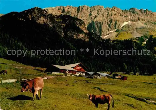 AK / Ansichtskarte Leutasch Gaistal Haemmermoosalpe gegen Teufelsgrat Kat. Leutasch Tirol