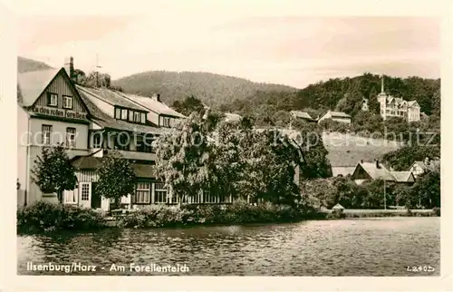 AK / Ansichtskarte Ilsenburg Harz Gaststaette am Forellenteich Kat. Ilsenburg Harz