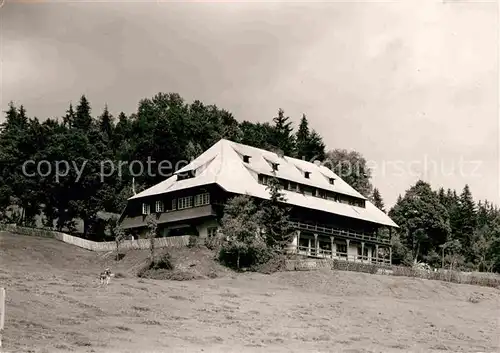 AK / Ansichtskarte Titisee Jugendherberge  Kat. Titisee Neustadt