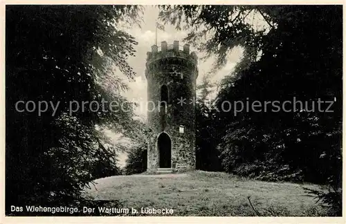 AK / Ansichtskarte Luebbecke Westfalen Der Warttrum im Wiehengebirge Kat. Luebbecke