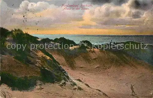 AK / Ansichtskarte Borkum Nordseebad Abend in den Duenen Kat. Borkum