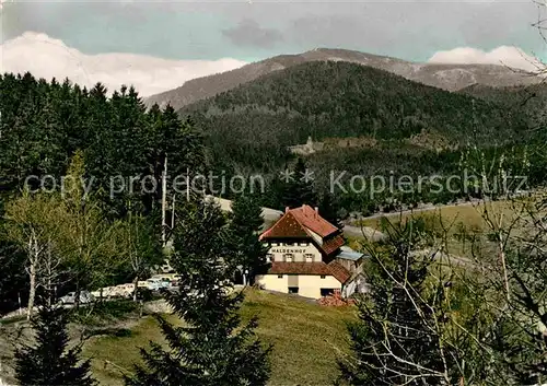 AK / Ansichtskarte Neuenweg Gasthaus Pension Haldenhof Kat. Neuenweg