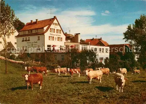 AK / Ansichtskarte Winterkasten Lindenfels Gasthaus Pension zur Traube Rinderherde Kat. Lindenfels