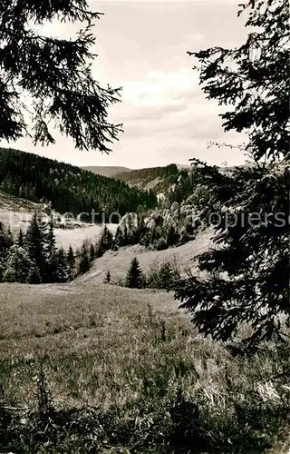 AK / Ansichtskarte Grafengehaig Rehbachtal Kat. Grafengehaig