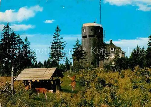 AK / Ansichtskarte Astenturm Hochsauerland Restaurant Pension Cafe Rehblick Kat. Winterberg