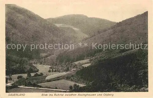 AK / Ansichtskarte Assinghausen Blick ins Ruhrtal zwischen Assinghausen und Olsberg Kat. Olsberg