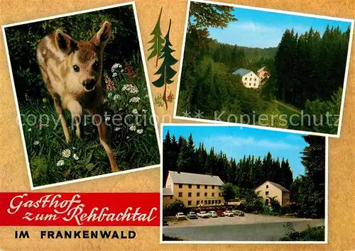 AK / Ansichtskarte Grafengehaig Gasthof zum Rehbachtal Rehkitz Kat. Grafengehaig