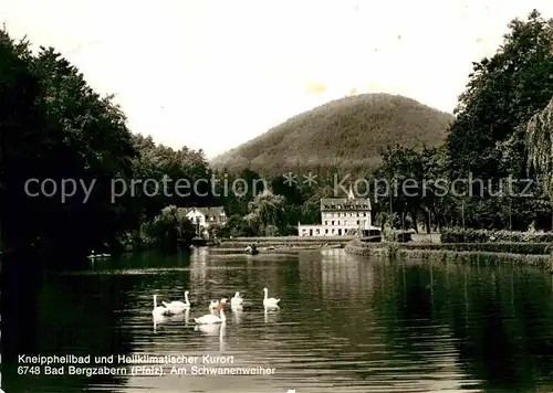 AK / Ansichtskarte Bad Bergzabern Kneippheilbad Kurort Schwanenweiher Kat. Bad Bergzabern