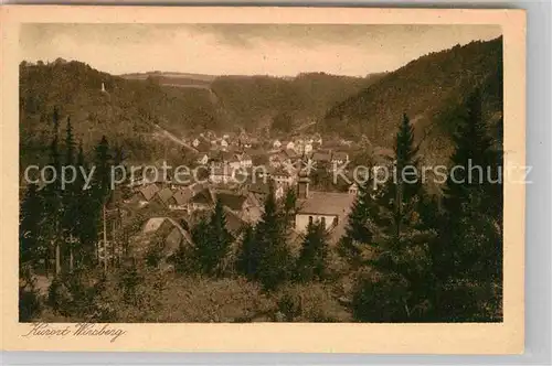 AK / Ansichtskarte Wirsberg Ortsansicht Kat. Wirsberg