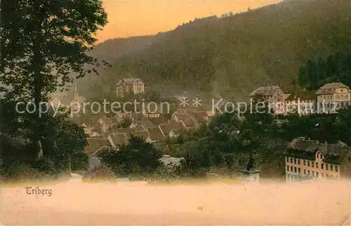 AK / Ansichtskarte Triberg Schwarzwald Teilansicht Kat. Triberg im Schwarzwald