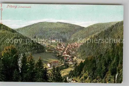 AK / Ansichtskarte Triberg Schwarzwald Panorama Kat. Triberg im Schwarzwald