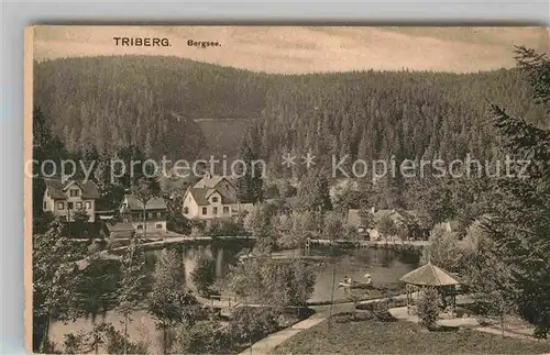 AK / Ansichtskarte Triberg Schwarzwald Bergsee Kat. Triberg im Schwarzwald