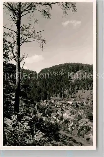 AK / Ansichtskarte Triberg Schwarzwald Ortsansicht Kat. Triberg im Schwarzwald