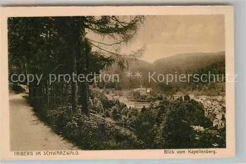 AK / Ansichtskarte Triberg Schwarzwald Blick vom Kapellenberg Kat. Triberg im Schwarzwald