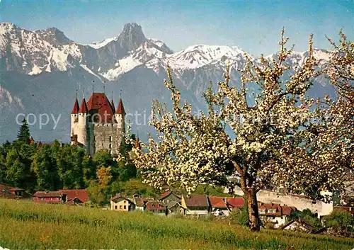 AK / Ansichtskarte Thun BE Schloss mit Stockhorn Kat. Thun