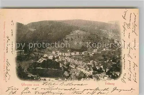 AK / Ansichtskarte Triberg Schwarzwald Panorama Kat. Triberg im Schwarzwald