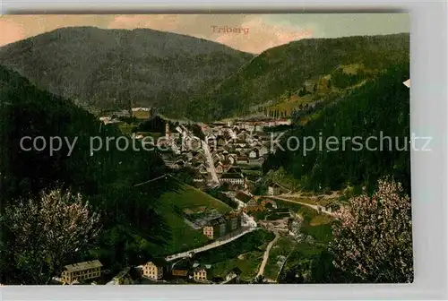 AK / Ansichtskarte Triberg Schwarzwald Panorama Kat. Triberg im Schwarzwald