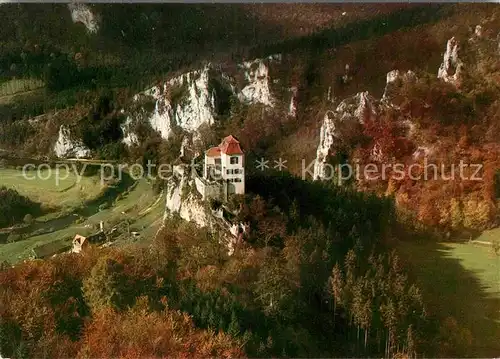 AK / Ansichtskarte Friedingen Baden Fliegeraufnahme Schloss Bronnen mit Jaegerhaus Kat. Singen (Hohentwiel)