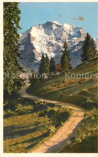 AK / Ansichtskarte Lauterbrunnen BE Gruetschalp Jungfrau Kat. Lauterbrunnen