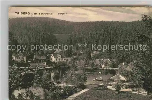 AK / Ansichtskarte Triberg Schwarzwald Bergsee Kat. Triberg im Schwarzwald