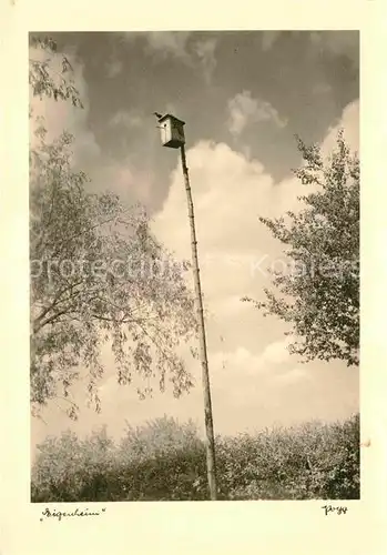 AK / Ansichtskarte Foto Popp Nr. Eigenheim Vogelhaeuschen  Kat. Fotografie