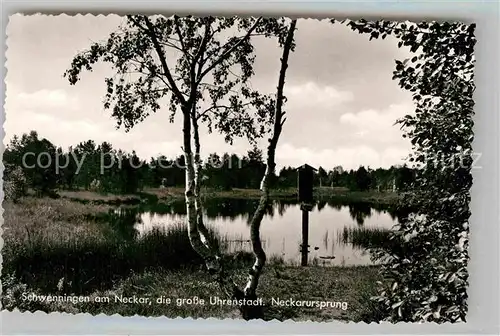 AK / Ansichtskarte Schwenningen Neckar Neckarursprung Kat. Villingen Schwenningen