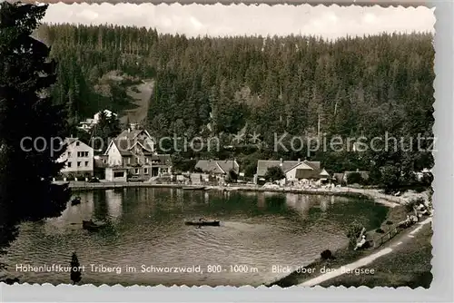 AK / Ansichtskarte Triberg Schwarzwald Bergsee Kat. Triberg im Schwarzwald