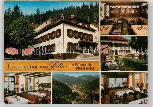 AK / Ansichtskarte Triberg Schwarzwald Landgasthof zur Lilie Kat. Triberg im Schwarzwald