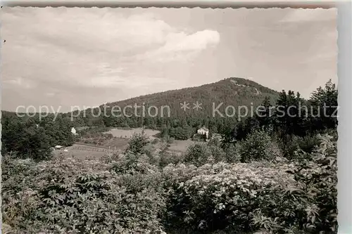 AK / Ansichtskarte Lahr Schwarzwald Margarethenhoehe oelberg Kat. Lahr