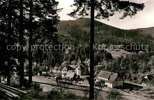 AK / Ansichtskarte Bad Rippoldsau Schwarzwald Panorama Kat. Bad Rippoldsau Schapbach