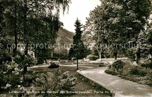 AK / Ansichtskarte Wolfach Kurpark  Kat. Wolfach Schwarzwald