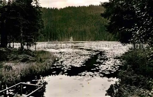 AK / Ansichtskarte Huzenbach Huzenbachersee im Murgtal Kat. Baiersbronn