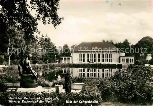 AK / Ansichtskarte Bad Brambach Kongresshalle  Kat. Bad Brambach