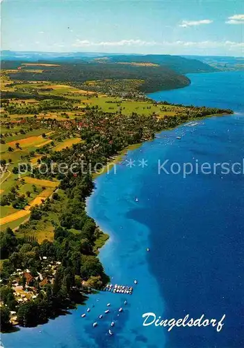 AK / Ansichtskarte Dingelsdorf Fliegeraufnahme Kat. Konstanz Bodensee