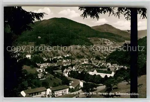 AK / Ansichtskarte Wolfach Panorama  Kat. Wolfach Schwarzwald