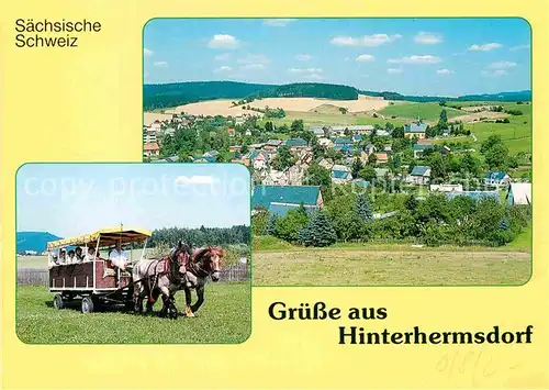 AK / Ansichtskarte Hinterhermsdorf Panorama Pferdewagen  Kat. Sebnitz