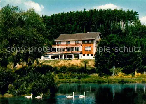 AK / Ansichtskarte Ronshausen Hotel Cafe Restaurant Immensee Schwaene Kat. Ronshausen