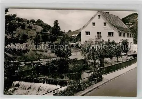 AK / Ansichtskarte Berghaupten Gasthof Pension Forelle Kat. Berghaupten