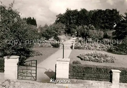 AK / Ansichtskarte Zell Harmersbach Kurpark Kat. Zell am Harmersbach