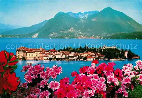 AK / Ansichtskarte Isola Bella Panorama alpen

Panorama Alpen Blumen Kat. Lago Maggiore