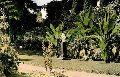 AK / Ansichtskarte Insel Mainau Partie im Park Denkmal Palmen Kat. Konstanz Bodensee