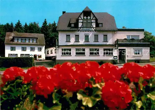 AK / Ansichtskarte Emmelshausen Hotel Waldfrieden  Kat. Emmelshausen