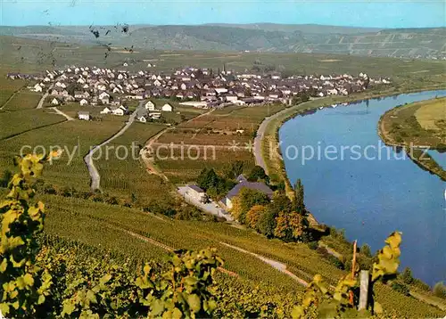 AK / Ansichtskarte Leiwen Mosel 