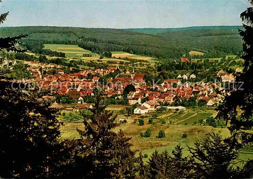 AK / Ansichtskarte Bad Koenig Odenwald Panorama Kat. Bad Koenig